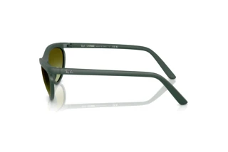 Vista lateral Ray-Ban RB4453 (6016E8)