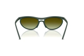 Vista posterior Ray-Ban RB4453 (6016E8)
