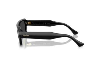[glasses-side-view] Ray-Ban FLACKO (RB4454 - 667748)
