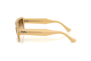 [glasses-side-view] Ray-Ban FLACKO (RB4454 - 680651)