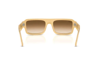 [glasses-back-view] Ray-Ban FLACKO (RB4454 - 680651)