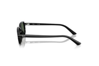 [glasses-side-view] Ray-Ban ZURI (RB4455 - 667771)