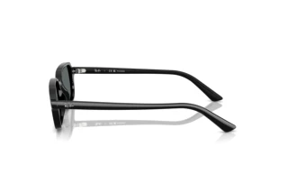 [glasses-side-view] Ray-Ban ZURI (RB4455 - 667781)