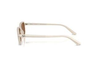 [glasses-side-view] Ray-Ban ZURI (RB4455 - 680873)