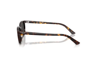 Vista lateral Ray-Ban ZAYA (RB4456 - 135987)
