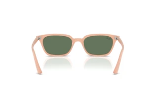 Vista posterior Ray-Ban ZAYA (RB4456 - 681182)