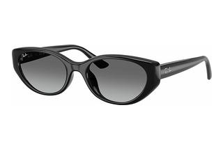 Ray-Ban RB4457D 667711 Grey GradientBlack