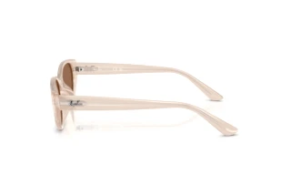 Sidovy Ray-Ban RB4457D (678673)