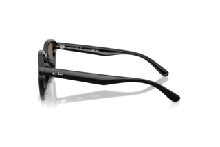 Vista lateral Ray-Ban RB4458D (601/6V)