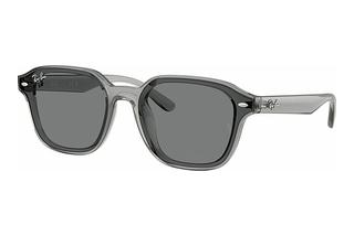 Ray-Ban RB4458D 645087 Dark BrownTransparent Grey