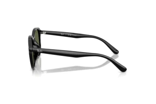 [glasses-side-view] Ray-Ban RB4459D (901/9A)