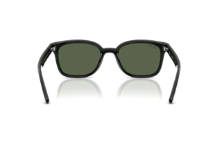 [glasses-back-view] Ray-Ban RB4461D (601/71)