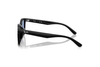 Vista lateral Ray-Ban RB4461D (601/80)
