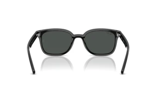 [glasses-back-view] Ray-Ban RB4461D (601/87)