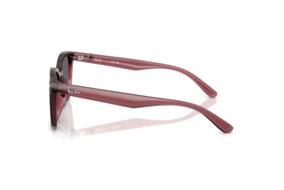 Vista lateral Ray-Ban RB4461D (659373)