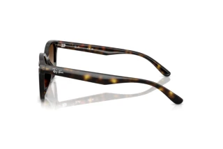 [glasses-side-view] Ray-Ban RB4461D (710/13)