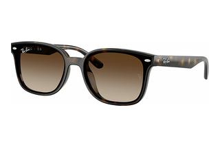 Ray-Ban RB4461D 710/13 Gradient BrownHavana