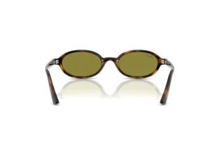 [glasses-back-view] Ray-Ban RB4472 (1359/2)