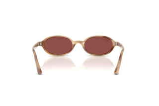 [glasses-back-view] Ray-Ban RB4472 (685675)