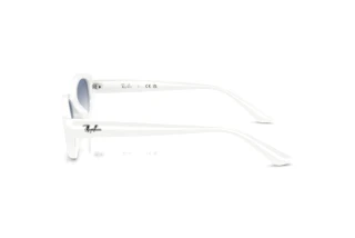 [glasses-side-view] Ray-Ban RB4473D (677219)