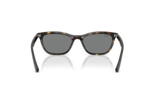 [glasses-back-view] Ray-Ban RB4474D (710/87)
