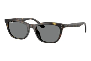 [glasses-front-view] Ray-Ban RB4474D (710/87)