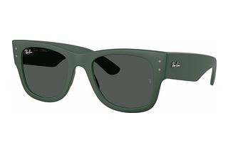 Ray-Ban RB4840S 665787