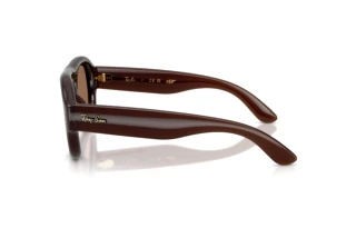 Изглед отстрани Ray-Ban RB4925 (689673)