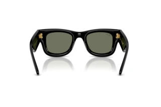 [glasses-back-view] Ray-Ban WAYFARER PUFFER (RB4940 - 601/30)