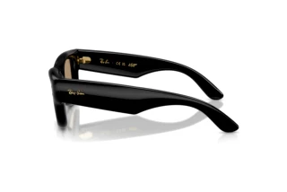 [glasses-side-view] Ray-Ban WAYFARER PUFFER (RB4940 - 601/7J)