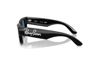 [glasses-side-view] Ray-Ban WAYFARER PUFFER (RB4940B - 686480)