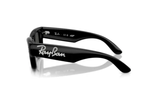 [glasses-side-view] Ray-Ban WAYFARER PUFFER (RB4940B - 686487)