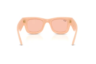 [glasses-back-view] Ray-Ban WAYFARER PUFFER (RB4940BP - 688984)