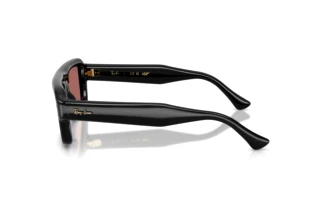 Zijaanzicht Ray-Ban RB4954 (601/69)