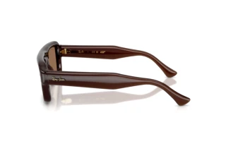 [glasses-side-view] Ray-Ban RB4954 (689673)