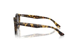 [glasses-side-view] Ray-Ban LARRY (RB7680S - 1332GL)