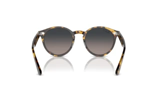 [glasses-back-view] Ray-Ban LARRY (RB7680S - 1332GL)