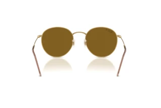 Vista posterior Ray-Ban ROUND REVERSE (RBR0103S - 001/83)