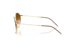 Vista lateral Ray-Ban ROUND REVERSE (RBR0103S - 001/CB)