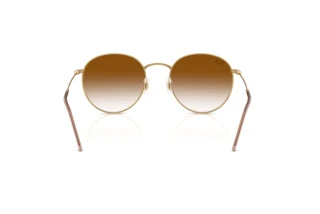 Vista posterior Ray-Ban ROUND REVERSE (RBR0103S - 001/CB)