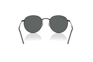 [glasses-back-view] Ray-Ban ROUND REVERSE (RBR0103S - 002/GR)