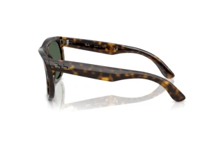 [glasses-side-view] Ray-Ban WAYFARER REVERSE (RBR0502S - 6790VR)