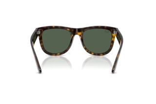 [glasses-back-view] Ray-Ban WAYFARER REVERSE (RBR0502S - 6790VR)