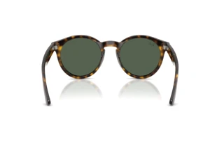 Vista posterior Ray-Ban RBR0505S (6790VR)