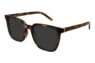 Saint Laurent SL M146 003 HAVANA