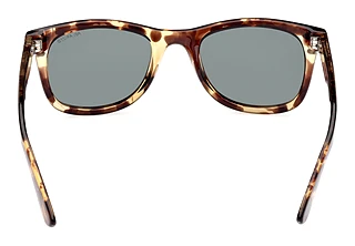 [glasses-back-view] Skechers SE6216 (56R)
