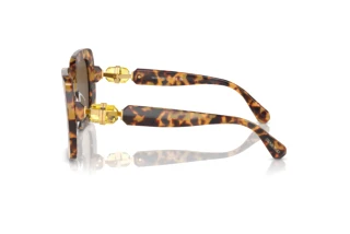Sidovy Swarovski SK6001 (104073)