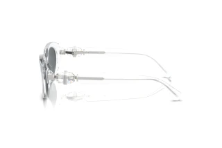 [glasses-side-view] Swarovski SK6002 (102787)
