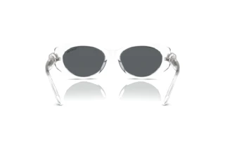 [glasses-back-view] Swarovski SK6002 (102787)