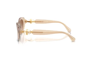 Sidovy Swarovski SK6002 (103413)